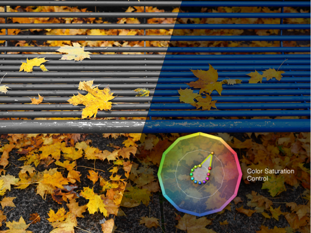 CREATE THE PHOTOS YOU ENVISION.